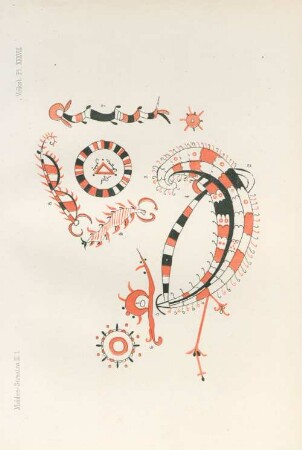 Pl. XXXVIII
