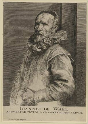 Bildnis des Ioannes de Wael