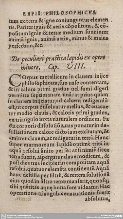 De peculiari practica lapidis ex opere minore. Cap. VIII.