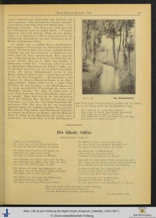 Die blinde Odilia.