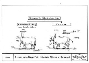 System zum "Steuern" der Kühe beim Abkoten im Kurzstand