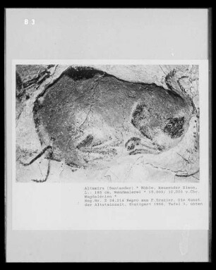 Wandmalerei in der Höhle von Altamira: Bison