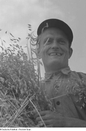 Erntehelfer Gerhard Fricke