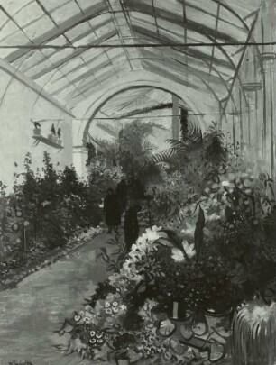Pillnitzer Palmenhaus