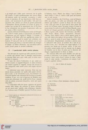 III. I particolari della nostra pianta