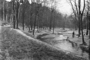 Waldlandschaft mit Fluss