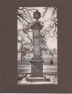 Landstraße "Napoleonsäule"