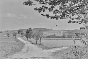 Landschaft bei Kreckwitz?
