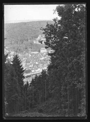 Blick aus Richtung Wartturm durch Bäume auf Altstadt und Burg Wertheim