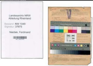 Entnazifizierung Ferdinand Niediek , geb. 22.04.1901 (Kaufmann)
