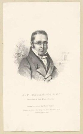 Bildnis des A. P. de Candolle