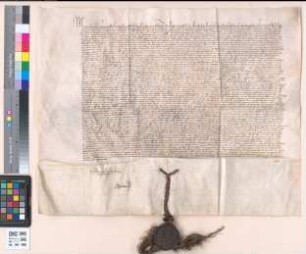 Bestätigung dieser Schenkung von Herzog Maximilian von Österreich, Gemahl von Maria von Burgund.
