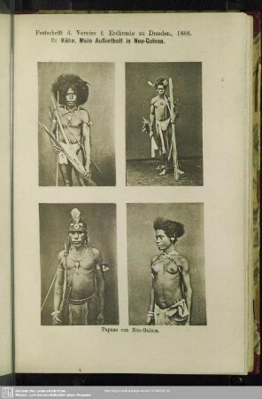 Papuas von Neu-Guinea