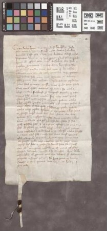 Friedberg: Citatio a decano emissa in causa spolii