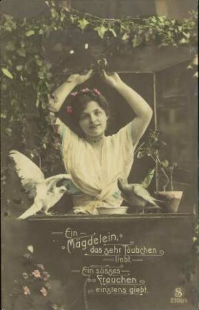 Ein Mägdelein, das sehr Täubchen liebt [...]