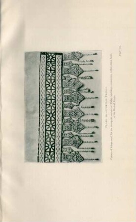 Plate 10. - Curtain fringe