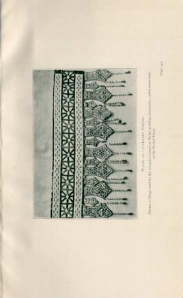 Plate 10. - Curtain fringe