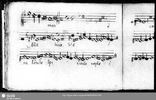 Anonymus: Alleluia