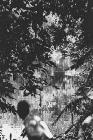 Nilpferd am Mount Nyangi : Dschungellandschaft mit einem See und Nilpferd. Im Vordergrund ist das Expeditionsmitglied Alfred Mayer-Gürr