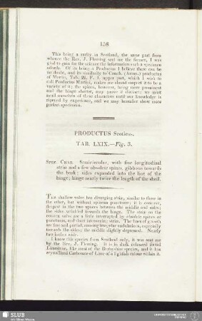 Productus Scoticus. Tab. LXIX. - Fig. 3