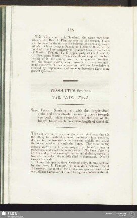 Productus Scoticus. Tab. LXIX. - Fig. 3