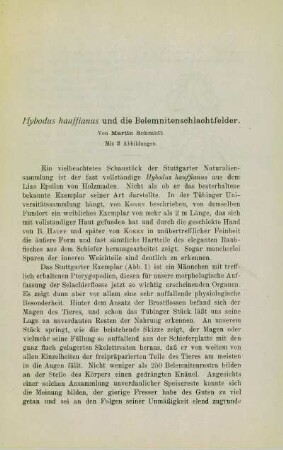 Hybodus hauffianus und die Belemnitenschlachtfelder