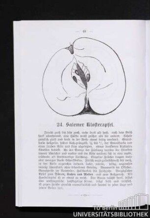 24. Salemer Klosterapfel.