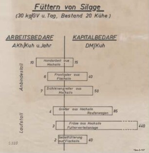 Füttern von Silage (30 kg/GV und Tag, Bestand 20 Kühe)