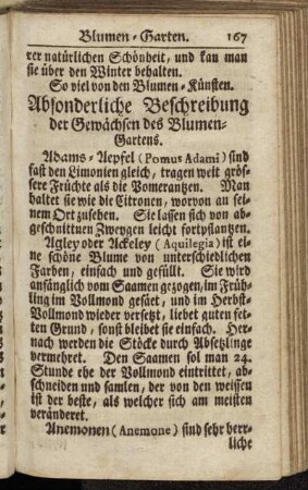 Absonderliche Beschreibung der Gewächsen des Blumen-Gartens.