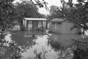 Hochwasser von Rhein und Alb