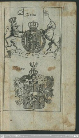 Fig. XXIIII. - XXV.