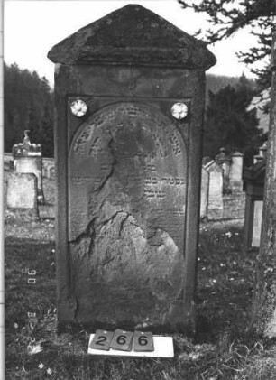 Grabstein 266 (Index: 100009255) Zustand: Vorderseite: größere Teile abgeblättert, Rückseite: leicht verwittert Maße HxBxT: 144x68x30 cm: Grabstein 266
