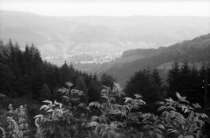 Bermersbach: Blick von der Roten Lache auf Bermersbach