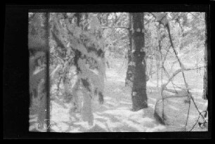 Berrieux (Dep. Aisne, Frankreich): verschneite Waldlandschaft, ("Im Abteilungswald bei der Abteilungs-Befehls-Stelle, Winter")