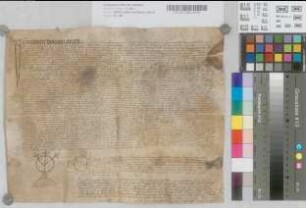 Notariatsinstrument betreffend die Schenkung und Abtretung der Güter des Craft von Pedelen, Priester und Benefiziat bei der Kirche von St. Johann und Dionys, an seinen natürlichen Sohn Craft von Pedelen und die Bestimmungen wegen Errrichtung eines Benefiziums.