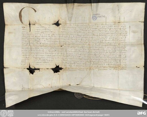 [Halle (Saale), Universitäts- und Landesbibliothek Sachsen-Anhalt, Morbio 29 (13)]