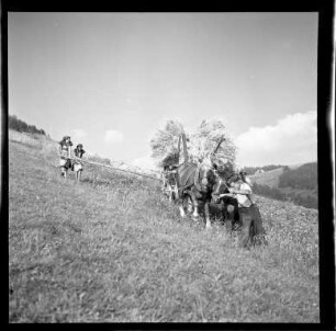 Heuernte im Schwarzwald