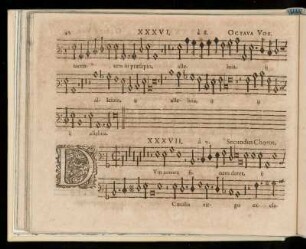 Novem vocvm.