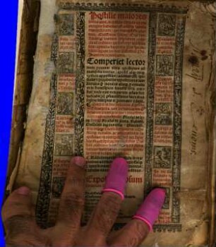 Postille maiores totius anni