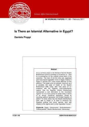 Is there an Islamist alternative in Egypt?