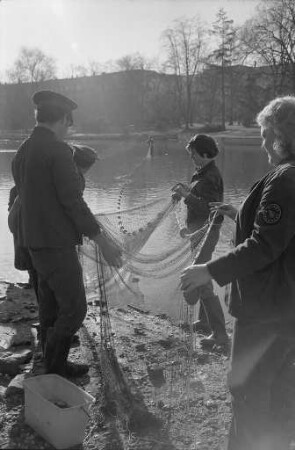 Fischsterben im Schwanensee des Stadtgartens