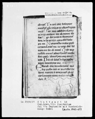 Kalendar - Psalterium - Hymnar (Benediktinerhandschrift) — Kamel, Folio 11verso