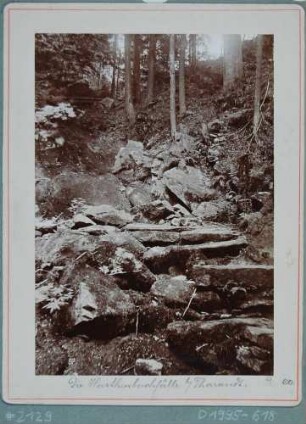Dei Harthenbachfälle bei Tharandt