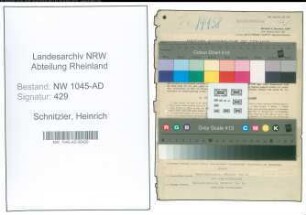 Entnazifizierung Heinrich Schnitzler , geb. 02.10.1898 (Beamter)