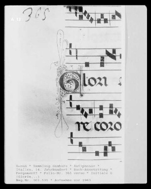 Antiphonar — Initiale G (Gloria...), Folio 365 verso
