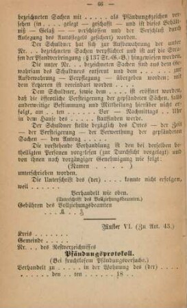 Muster VI. (Zu Art. 43)