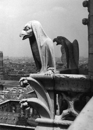 Chimäre und Wasserspeier : Chimäre und Wasserspeier (1846/1855; E. E. Viollet-le-Duc). Paris, Kathedrale Notre-Dame, Turmgalerie