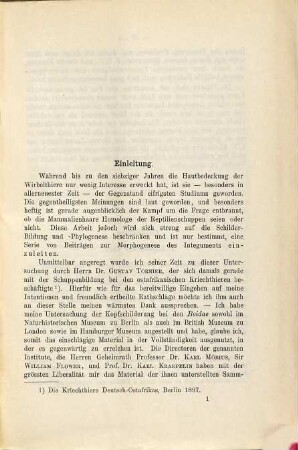 Die Kopfschilder-Phylogenese bei den Boiden