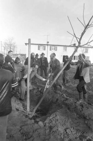 Baumpflanzaktion in der Bellenäckersiedlung zum "Tag des Baumes"