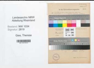 Entnazifizierung Therese Gies , geb. 10.07.1880 ()